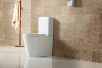 SAT FINE Stand-Kombi-WC Wasseranschluss links/rechts spülrandlos mit SoftClose WC-Sitz, weiß