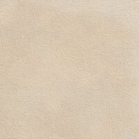 Fineza Project Bodenfliese 2x (60x60 cm) 0,72 m² rektifiziert R11 frostbeständig PEI 5, beige matt