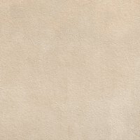 Fineza Project Bodenfliese 2x (60x60 cm) 0,72 m² rektifiziert R11 frostbeständig PEI 5, beige matt
