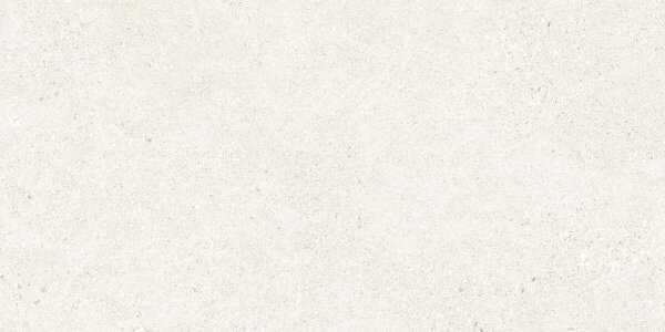 Peronda Manhattan Bodenfliese  2x (60x120 cm) 1,44m² frostbeständig und rektifiziert, matt