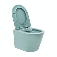 SAT Infinitio Wand-WC-Set spülrandlos WC-Sitz Absenkautomatik inkl. Montageset, Grün matt