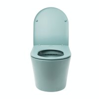 SAT Infinitio Wand-WC-Set spülrandlos WC-Sitz Absenkautomatik inkl. Montageset, Grün matt