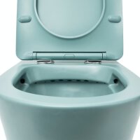 SAT Infinitio Wand-WC-Set spülrandlos WC-Sitz Absenkautomatik inkl. Montageset, Grün matt