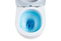 Swiss Aqua Technologies Wand-WC-Set mit...